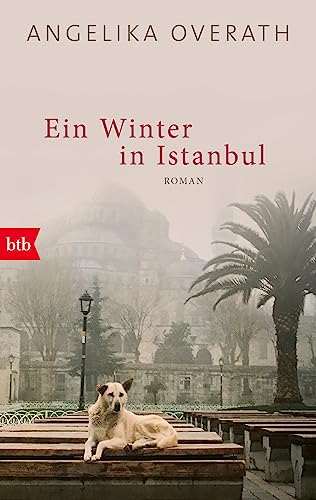 Ein Winter in Istanbul: Roman von btb Verlag